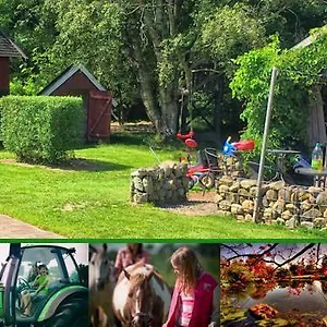 Agroturismo Stutteri Skandihest, Billund